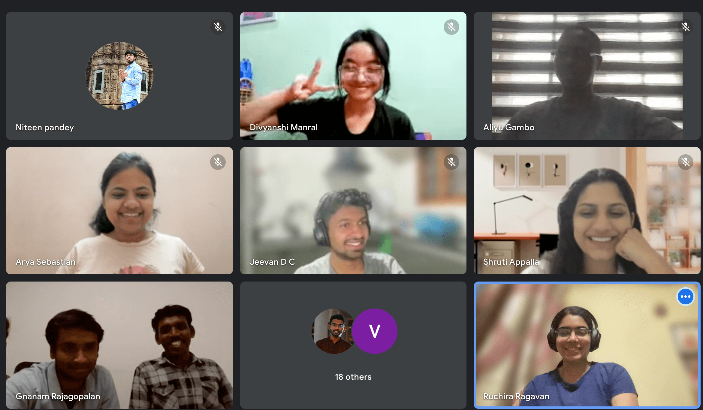 HVA Google meet session